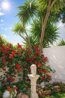 Fantastic 6B Villa - 4