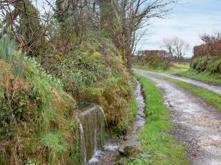 Le Shippen - 6