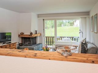 Apartment Chesa Palüdin 10 - Pontresina by Interhome - 1