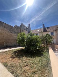 Charmant appartement Caennais - 1