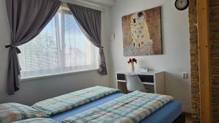 Apartmán Vejminek Boží Dar - 3