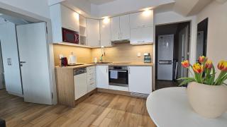 Apartmán Vejminek Boží Dar - 1