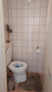 Room near Rotterdam offered by Maashouse - 2