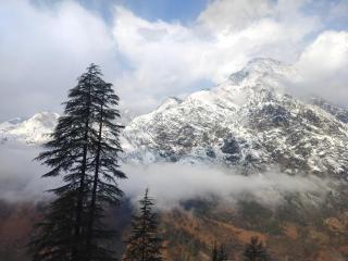 Hitarth Nature Embrace HNE - 1