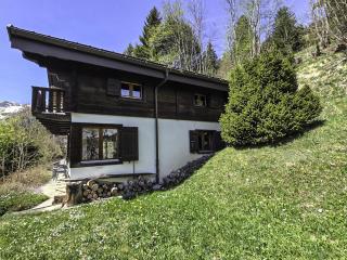 Chalet Chalet chemin du four by Interhome - Morgins - 9