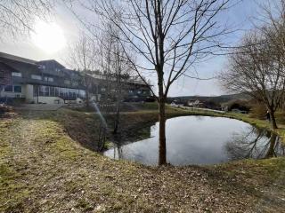 Hunting Suite with Lake View - 2
