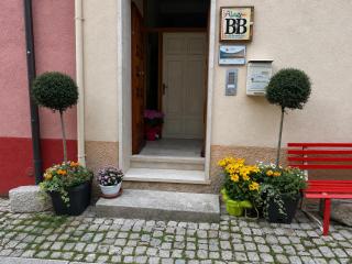 B&B Animali Selvaggi - 7