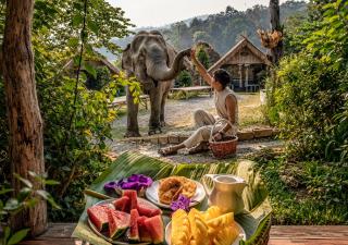 3 Pok Maewang jinxiang Gold elephant park - 8