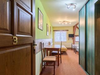 Apartment Roky - Dolní náměstí-4 by Interhome - 4