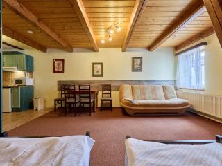 Apartment Roky - Dolní náměstí-6 by Interhome - 7