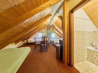 Apartment Roky - Dolní náměstí-7 by Interhome - 7