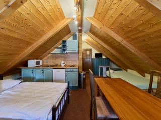 Apartment Roky - Dolní náměstí-7 by Interhome - 8