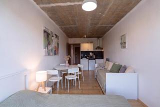Brand new studio #36 close to center with FREE parking - 3