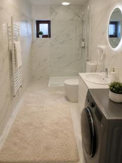 Apartament Timisoara 3 - 3