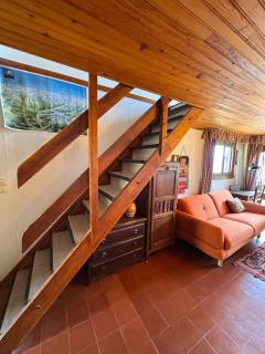 Chalet de montagne au Pla d'Adet - 3