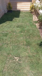 Ghazala valley ground floor - 5