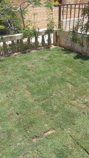 Ghazala valley ground floor - 3