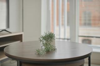 Contemporary 1 Bed Apartment in Central Birmingham - 3