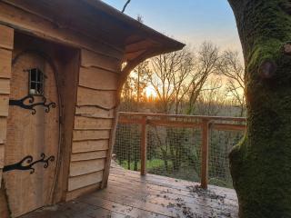 Cabane dans les arbres d'Ineas - 7