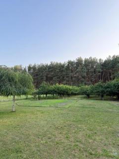 Zajecza Zagroda - Miastko, jezioro Lincjusz, sad i las - 2