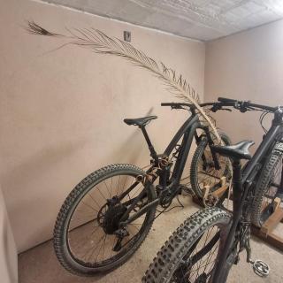 B&B Picchio - 6