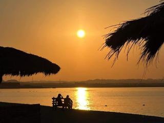 OrientalCoast Marsa Alam Private Beach bull7 - 9
