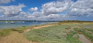 Le Cocon Normand - 6