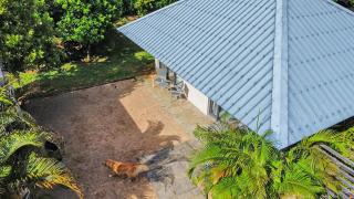 Calm guesthouse near Riviere Noire - 6