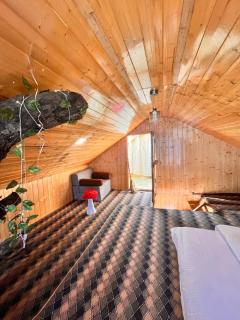 ITW- Into The Wild Tree House , Jibhi - 8
