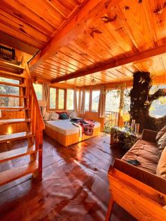 ITW- Into The Wild Tree House , Jibhi - 1