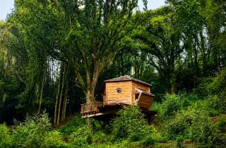 Cabane dans les arbres d'Ineas - 0