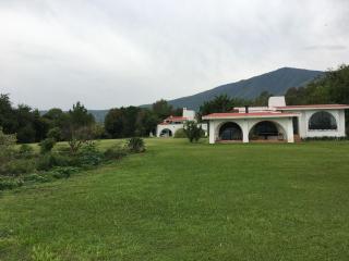 Beautiful house in Chapala with a pool - 8