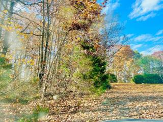 2000 sq ft with pool on 50 acres, near airport - 3