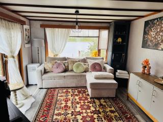 Chalet on the lake with private garden - 9
