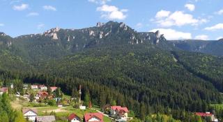 ,,Dor de Munte,, Casuta nr 24 -Complex de Pensiuni si Casute la Munte - 8