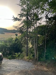 Charmant studio refait à neuf - 2