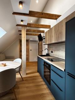 Apartmaji ob Savi - 6