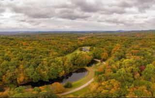 Whimsy Woods - 14 Acre Millbrook Estate with Pool - 5