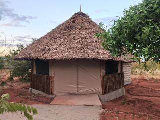 Tausa Tsavo Eco Lodge - 9