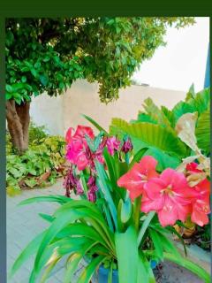 Kgajane Guest House - 6