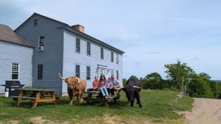 Family Friendly Highland Cattle Farm with Panoramic Views - A - 9