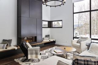 Wildewood - Modern Fireplace Luxe in Stowe - 0