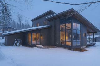 Wildewood - Modern Fireplace Luxe in Stowe - 5