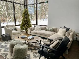 Wildewood - Modern Fireplace Luxe in Stowe - 2