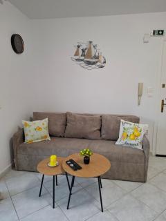 Sebi Suite - 0