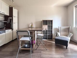 Nice studio in Prague - 7