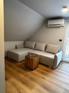 Apartmaji ob Savi - 1