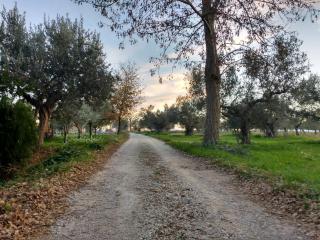 Casale Re di Coppe - Lanciano - 0