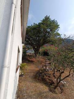 Casa Flores - 9