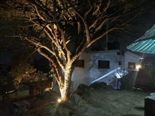 Casa Flores - 3